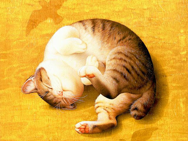 Котейка - спящий кот, толстый кот, кот - оригинал