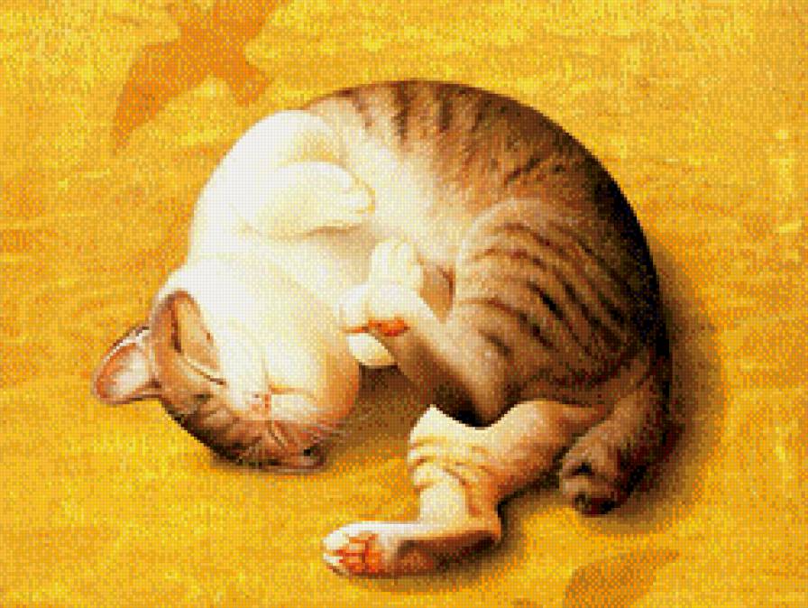 Котейка - толстый кот, спящий кот, кот - предпросмотр