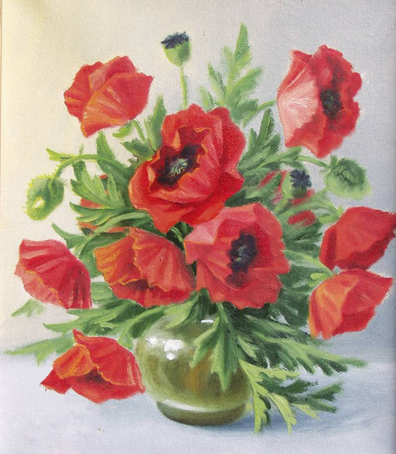 маки - цветы, маки - оригинал