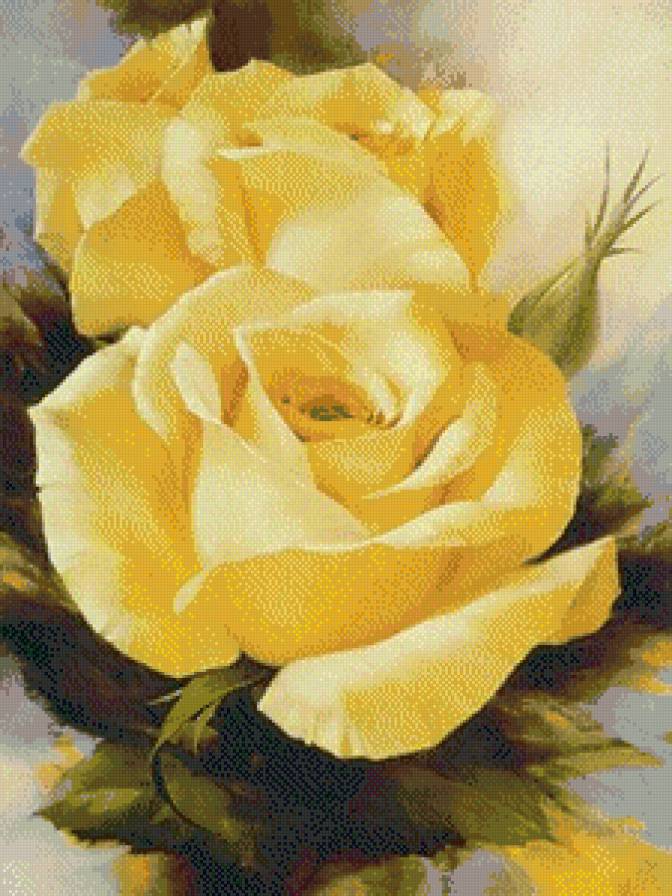 жёлтая роза - игорь левашов, розы, цветы - предпросмотр