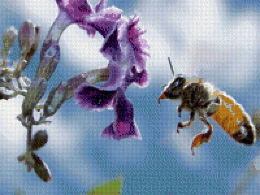 Пчела - цветы, пчела, пейзаж - предпросмотр