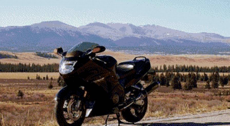 Honda 1100 super blackbird - black bird, хонда, blackbird, мотоцикл, дрозд - предпросмотр