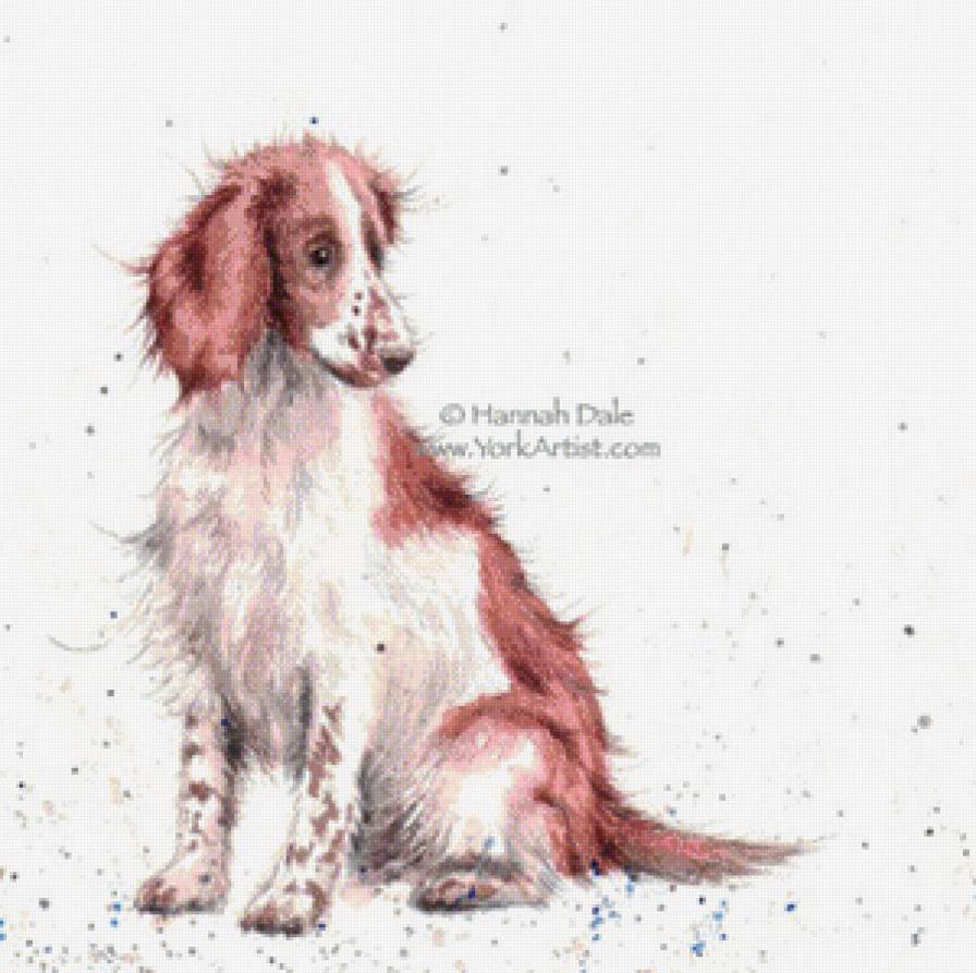 Loyal Friend - предпросмотр