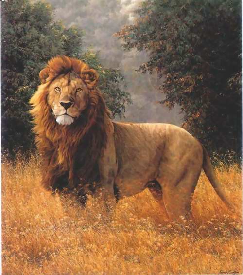 цар лъв - оригинал