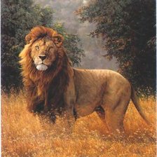 Схема вышивки «цар лъв»