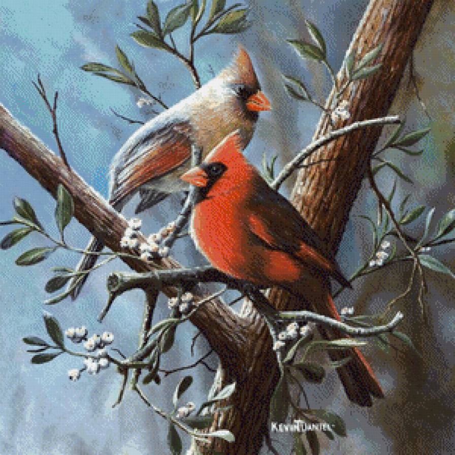 Серия "Птицы" - птицы. кардиналы - предпросмотр