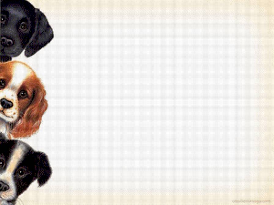 фоторамка - животные, щенки, собаки - предпросмотр