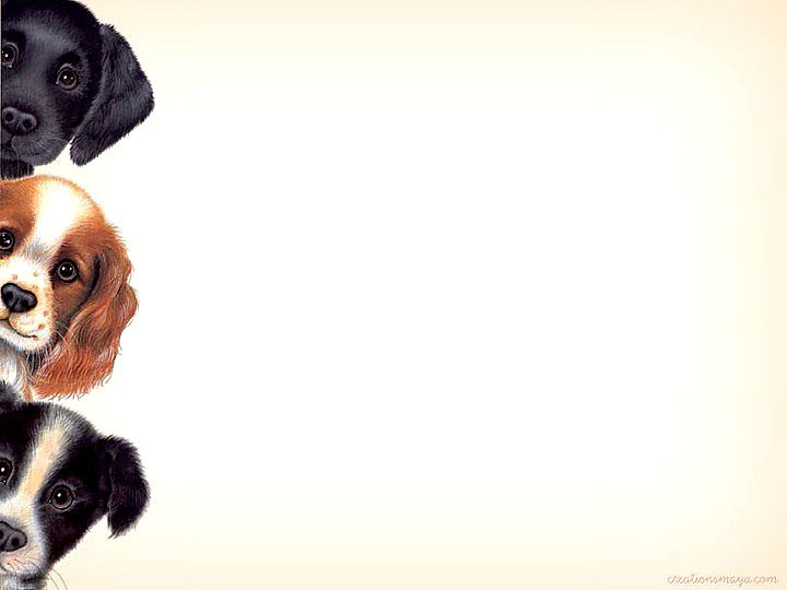 №505778 - оригинал