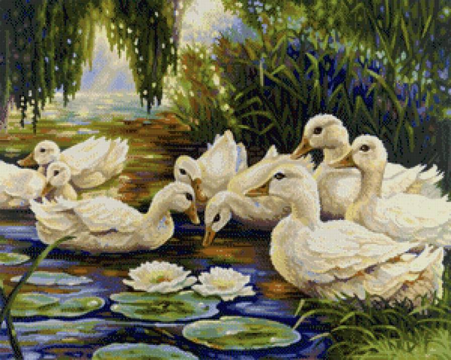 На пруду - птицы, пейзаж - предпросмотр