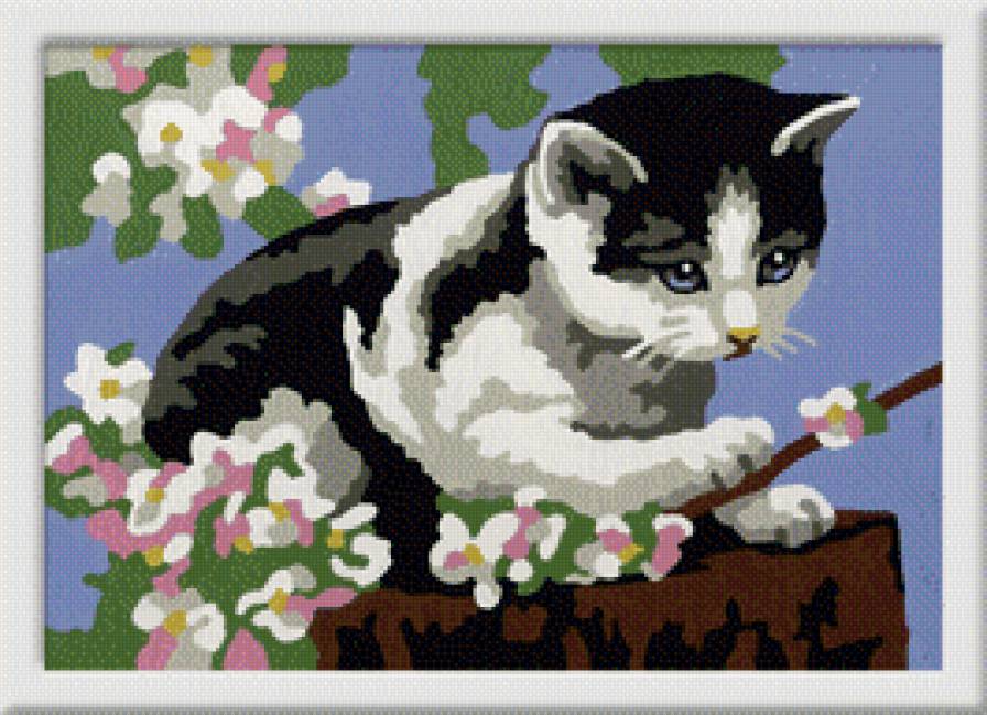 Котик - коты, животные - предпросмотр