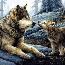волчица и волчонок