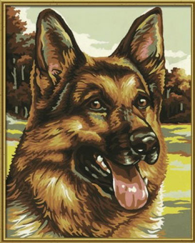 Кавказец - собаки, животные - оригинал