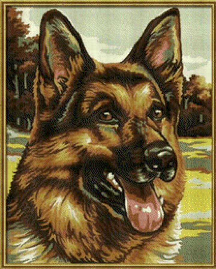 Кавказец - собаки, животные - предпросмотр