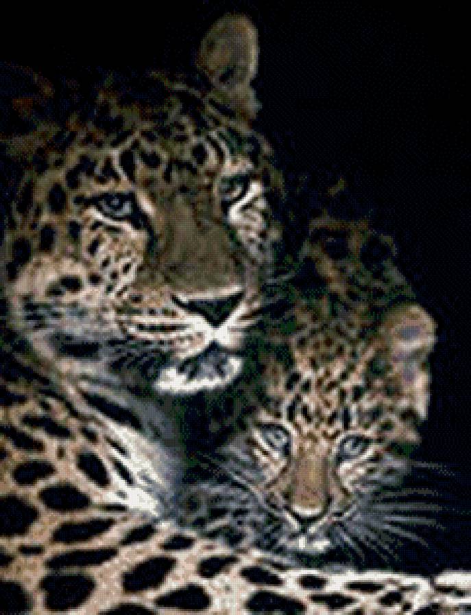 дикие кошки - предпросмотр