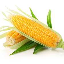 Оригинал схемы вышивки «кукуруза» (№505975)