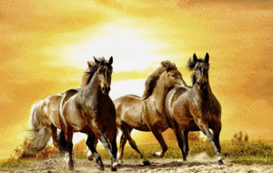 Лошади - животные, лошади - предпросмотр