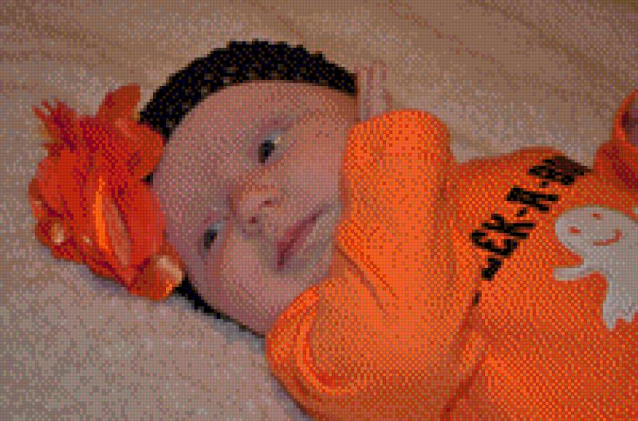 maia - предпросмотр