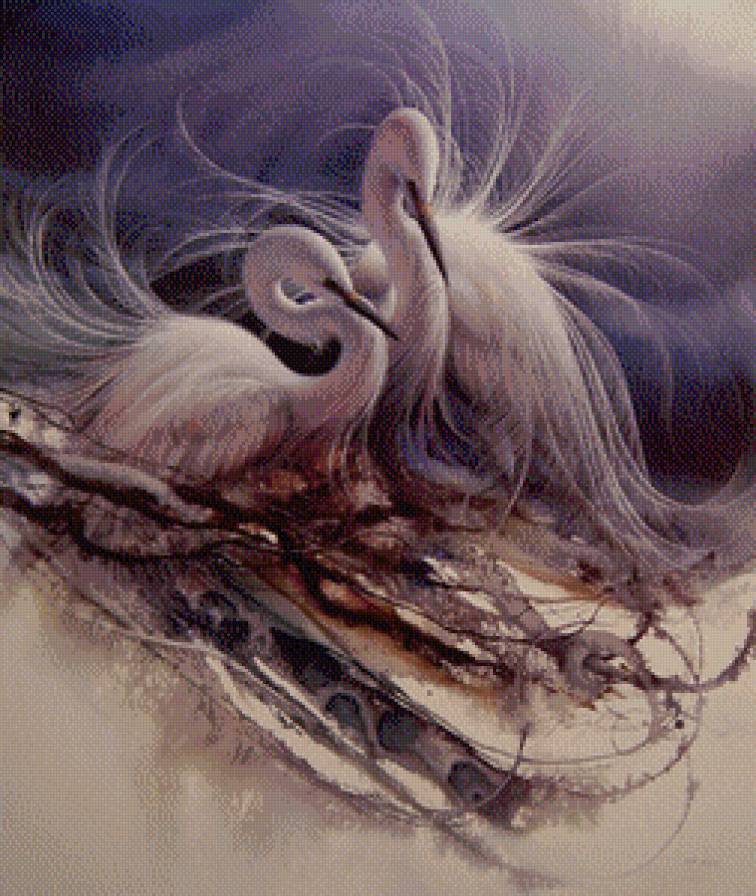 ухаживание - цапли, любовь, птицы, ухаживание - предпросмотр