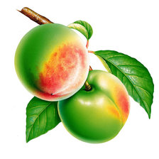 Схема вышивки «персики»