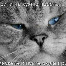 Схема вышивки «котяра»