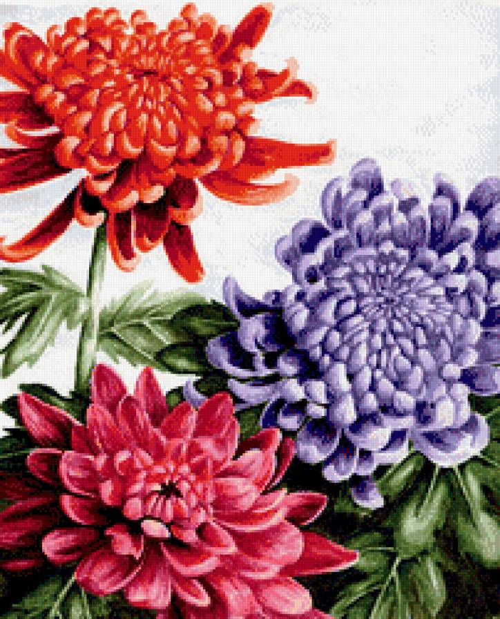 №506428 - цветы - предпросмотр