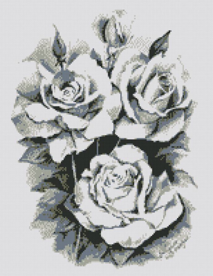 рози черно-бел - предпросмотр