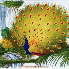 Схема вышивки «№506730»