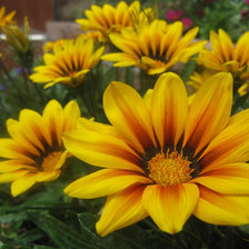 Схема вышивки «№506735»