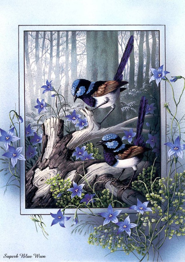 синицы - птицы, цветы - оригинал