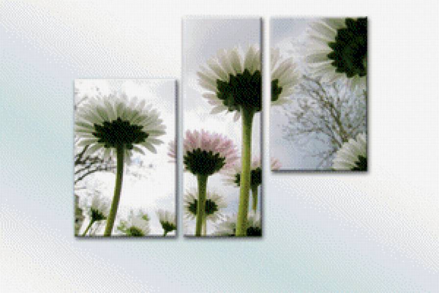 триптих астры - красота, цветок, триптих - предпросмотр