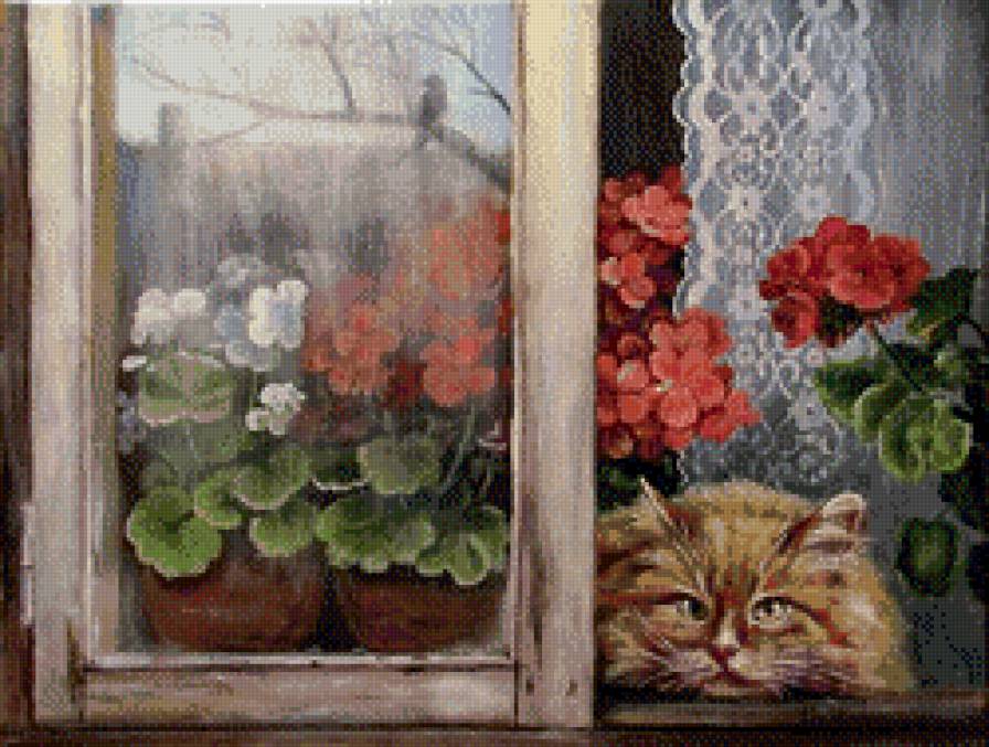Кошка на окошке - окно, кошка, герань - предпросмотр
