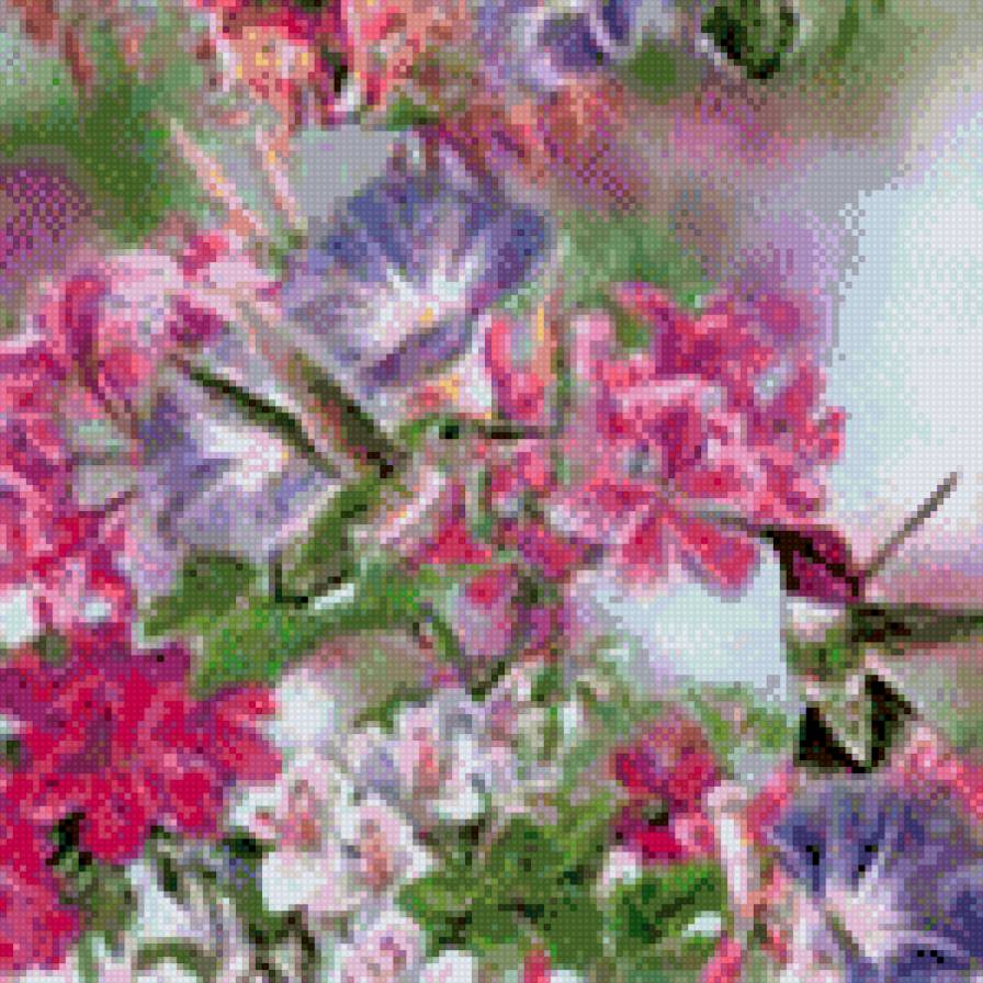 милые колибри - птицы - предпросмотр