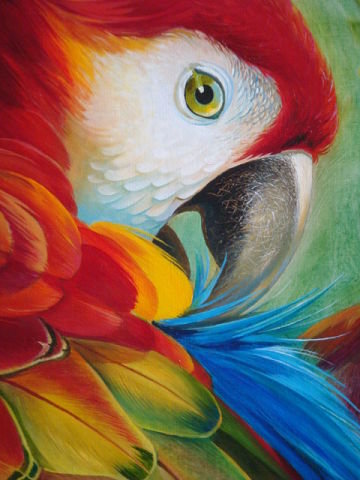 попугай - оригинал