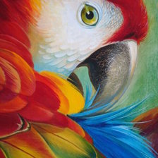 Схема вышивки «попугай»