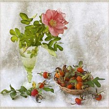 Схема вышивки «Шиповник»