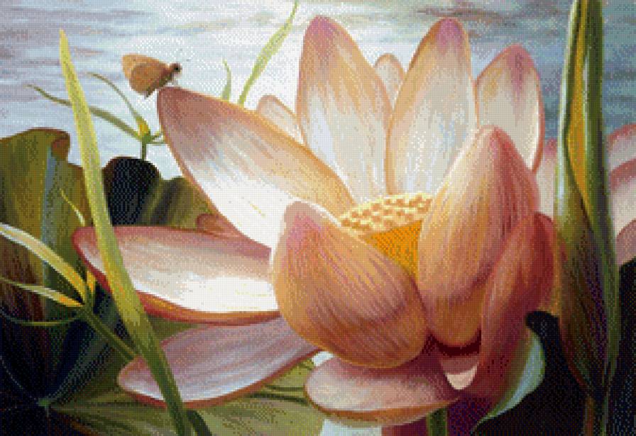 лилия - цветок - предпросмотр