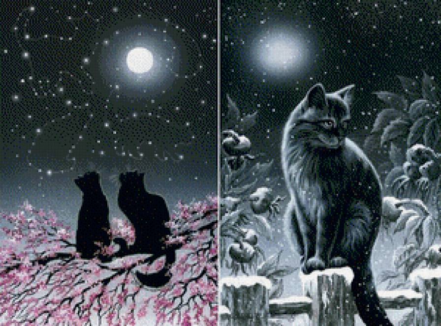 Кошачьи прогулки - кошки, зима, животные, цветы, пейзаж, весна - предпросмотр