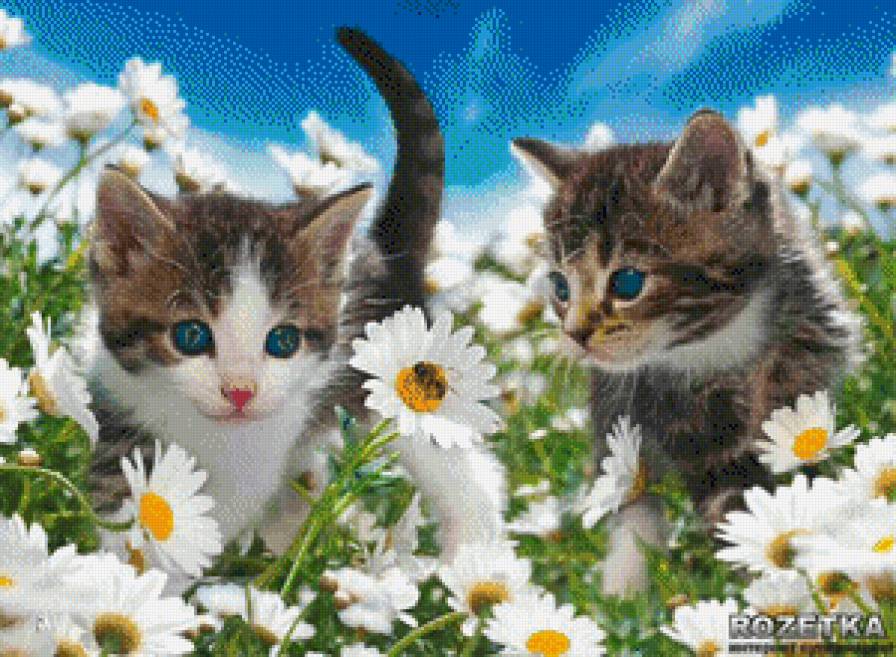 В ромашках... - животные, цветы - предпросмотр