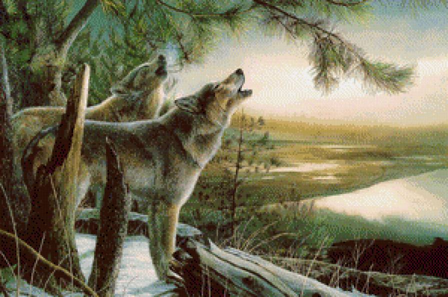 Серия "Волки" - снег, зима, волки, пейзаж, животные - предпросмотр