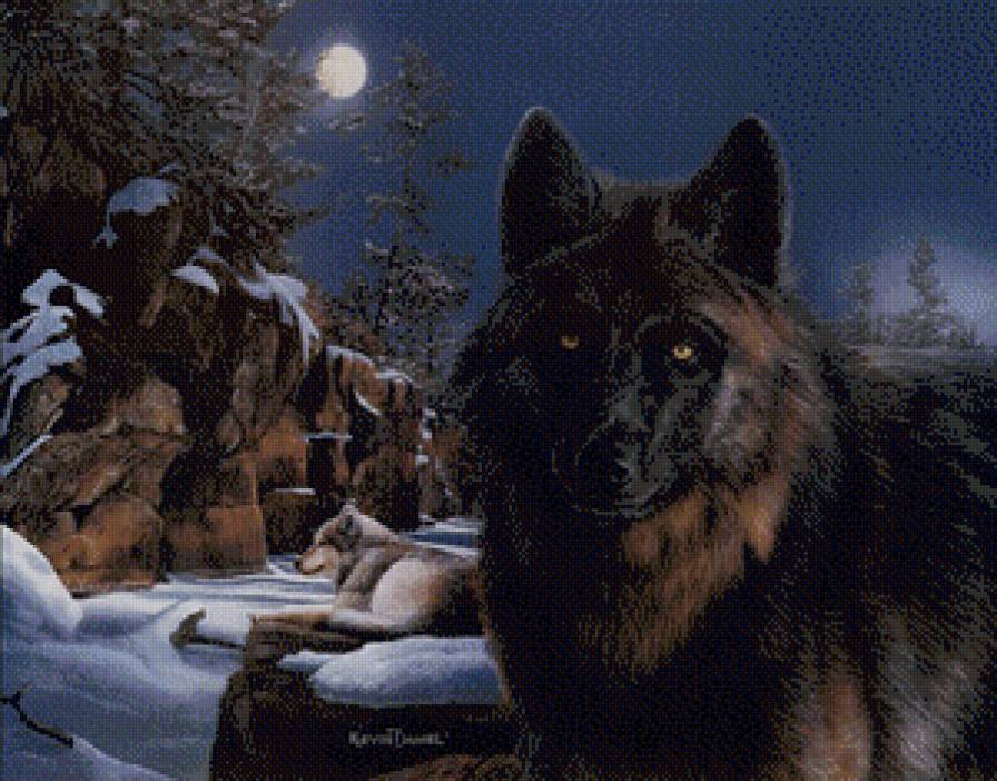 Серия "Волки" - пейзаж, животные, снег, волки, зима - предпросмотр