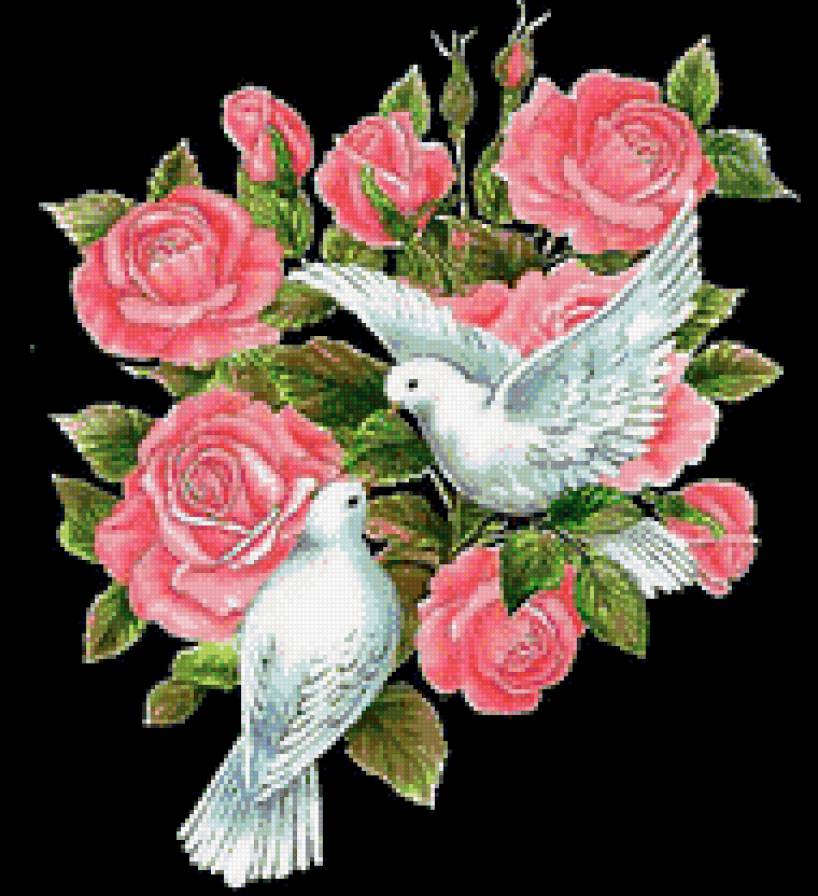 №507764 - предпросмотр