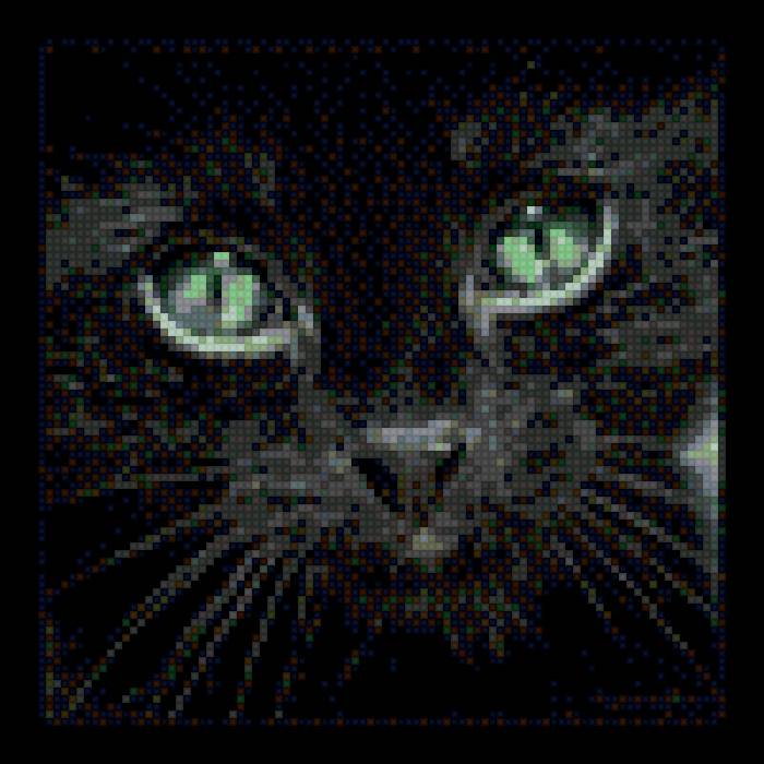 Котенок - черный кот, котенок, кот - предпросмотр