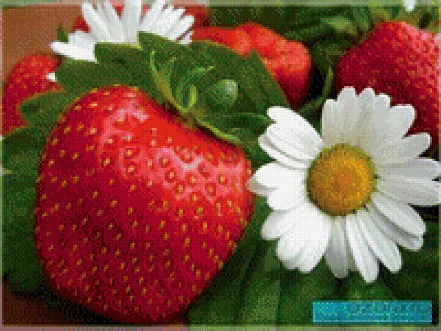 клубничка - предпросмотр