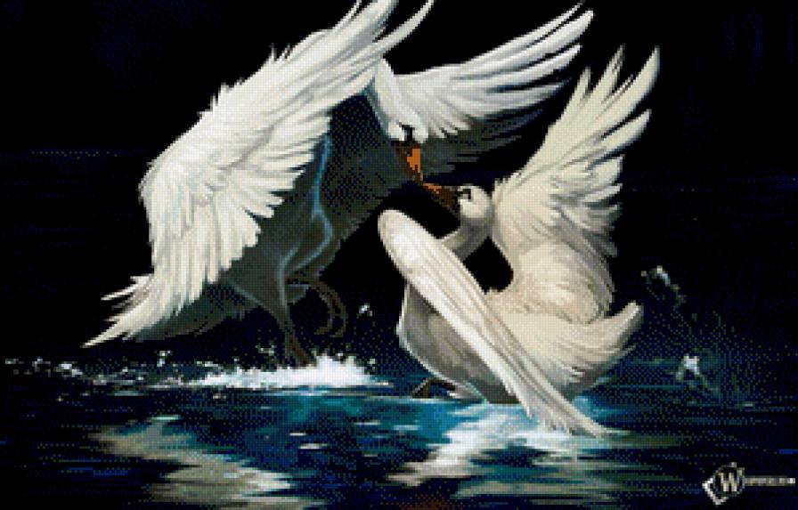 лебеди - предпросмотр