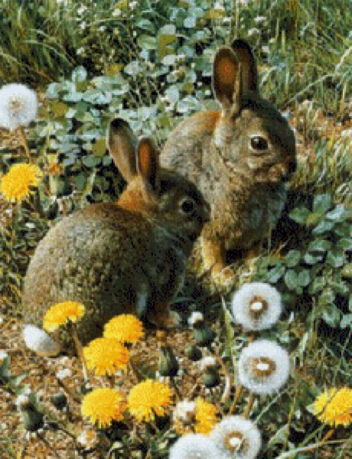 зайки на лужайке - предпросмотр