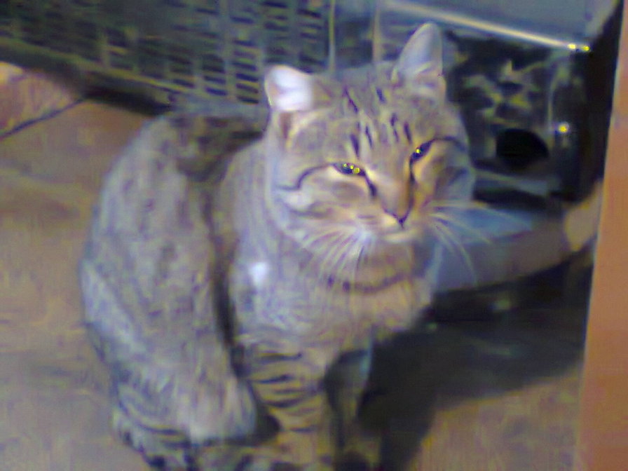 №508109 - оригинал