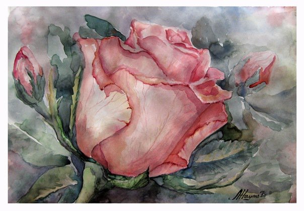 Роза (акварель) - роза, цветок - оригинал
