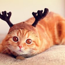 Схема вышивки «Котолень»