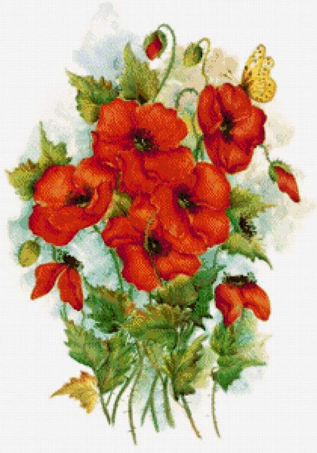 маки - картина цветы - предпросмотр