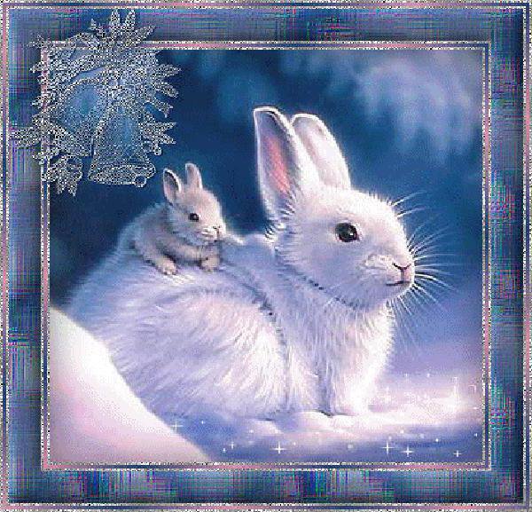 белый зайчик - рождество, зайчик, новый год, природа, снег, лес - оригинал